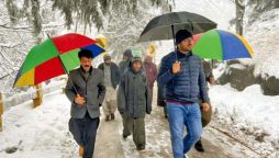 مری