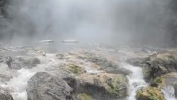 گرم ترین دریا