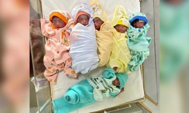 بچوں کی پیدائش