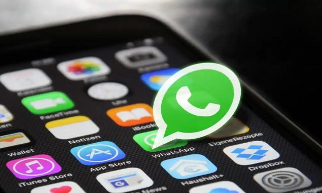 واٹس ایپ صارفین