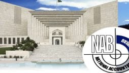 نیب ترامیم کیس