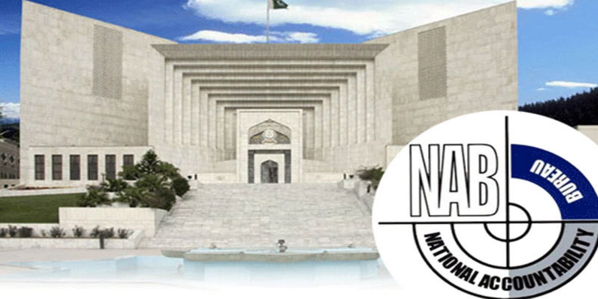 نیب ترامیم کیس