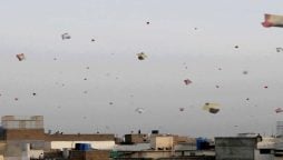 یہ بھی پڑھیں: آسٹریلیا کرکٹ ٹیم 24 برس بعد پاکستان پہنچ گئی