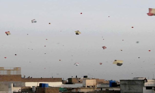 یہ بھی پڑھیں: آسٹریلیا کرکٹ ٹیم 24 برس بعد پاکستان پہنچ گئی