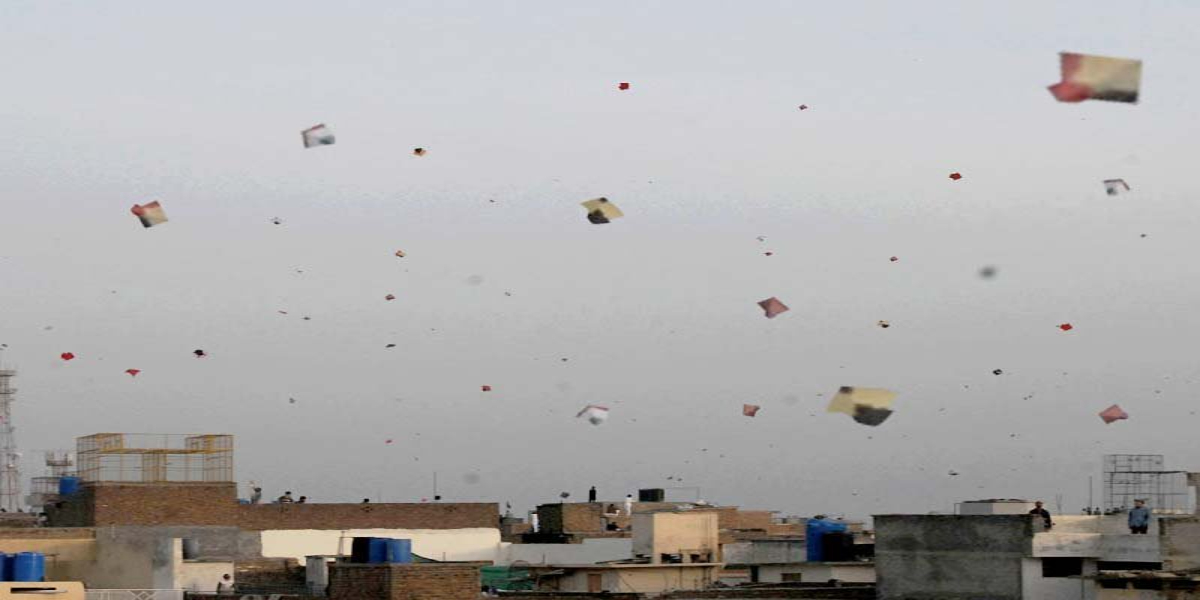 یہ بھی پڑھیں: آسٹریلیا کرکٹ ٹیم 24 برس بعد پاکستان پہنچ گئی