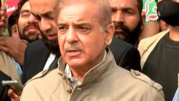 مہنگائی مکاﺅ مارچ