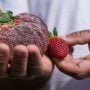 دنیا کی سب سے بڑی اسٹرابیری