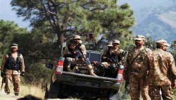 کارروائیاں