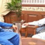 حمزہ شہباز یا پرویز الہیٰ