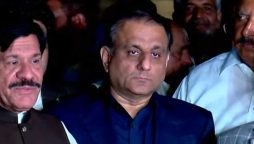 ترین گروپ