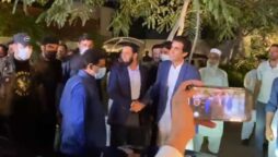 ترین گروپ