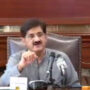 وزیراعلیٰ کی چینی حکام کو یقین دہانی
