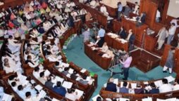 نومنتخب گورنر پنجاب نے 8 رکنی کابینہ سے حلف لے لیا