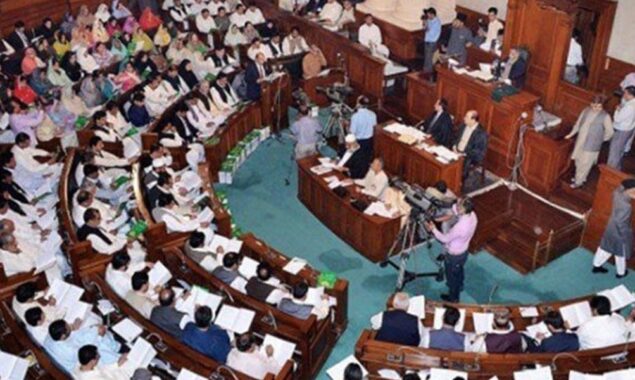 نومنتخب گورنر پنجاب نے 8 رکنی کابینہ سے حلف لے لیا