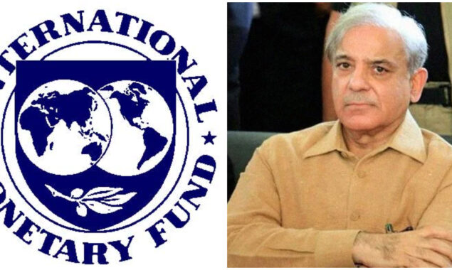 مذاکرات کے دوران آئی ایم ایف نئی حکومت کے سامنے اپنے تحفظات رکھے گی۔