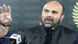 تیمور سلیم جھگڑا