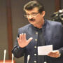 شہزاد وسیم