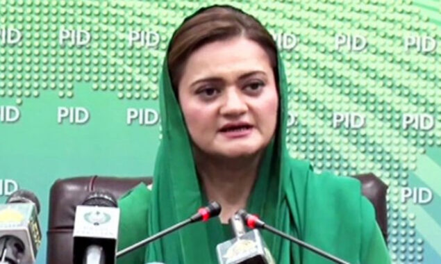 وفاقی وزیرِ اطلاعات