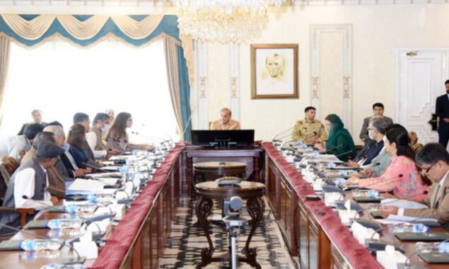 فوری حکمت عملی تیار کرنے کی ہدایت