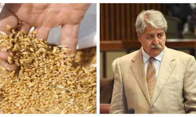 نوید قمر نے گندم درآمد کرنے کی وجہ بتادی