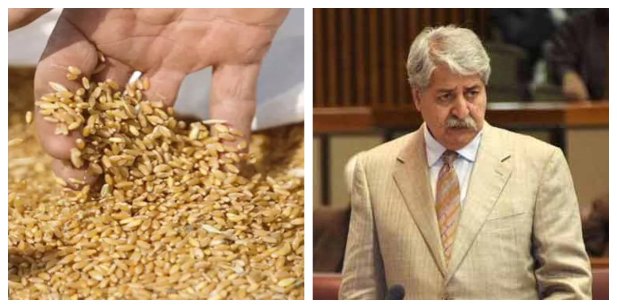 نوید قمر نے گندم درآمد کرنے کی وجہ بتادی