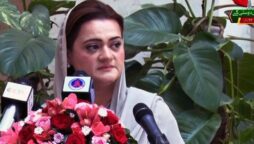 وفاقی وزیر اطلاعات مریم اورنگزیب