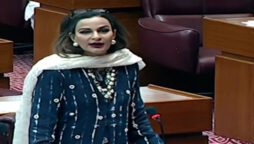 شیری رحمان