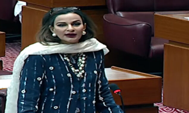 شیری رحمان