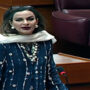شیری رحمان