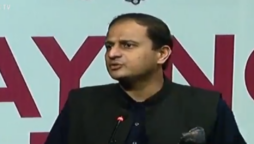 مرتضیٰ-وہاب