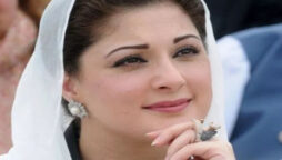 مریم نواز