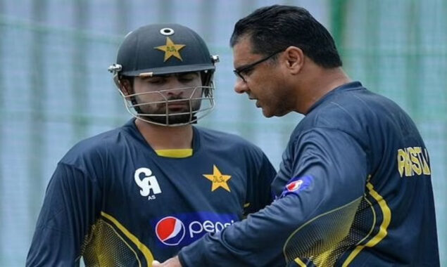 ٹیسٹ کرکٹر احمد شہزاد وقار یونس پرپھٹ پڑے