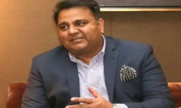سولر پینل
