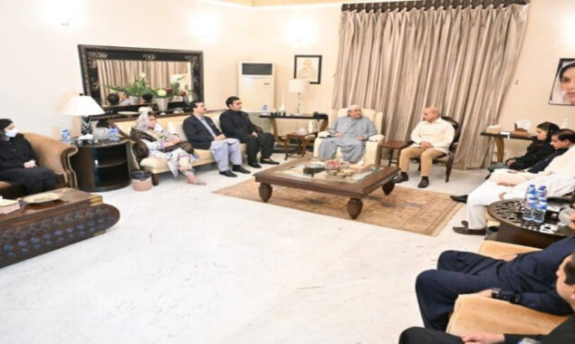 زرداری ہاؤس