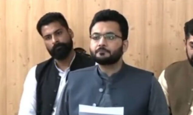 امپورٹڈ حکومت
