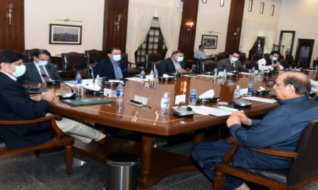 تھر کول کی پیداوار
