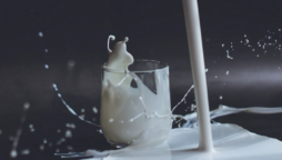 Milk