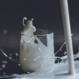 Milk