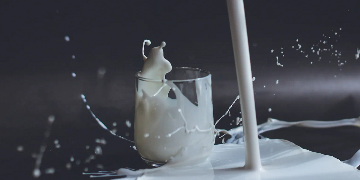 Milk