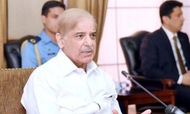 گھریلو صارفین کو سولر پینل فراہم