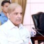 گھریلو صارفین کو سولر پینل فراہم