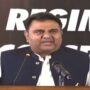 امپورٹڈ حکومت