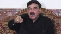 آرٹیکل 6