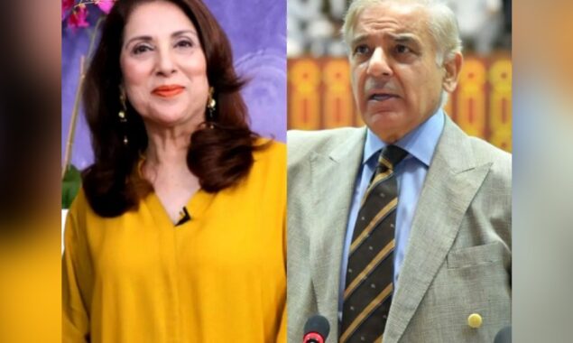 ثمینہ پیرزادہ