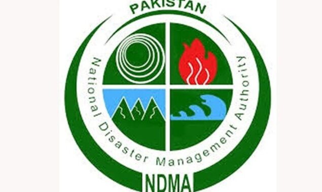 این ڈی ایم اے