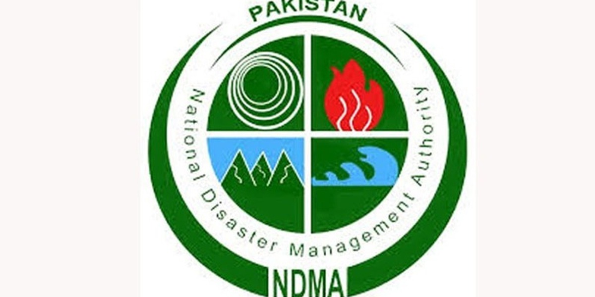 این ڈی ایم اے