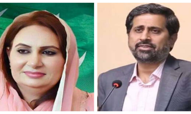 فیاض الحسن چوہان اور مسرت جمشید چیمہ