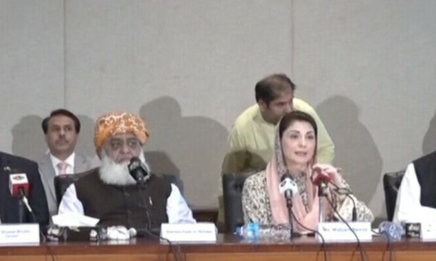 وزیراعلیٰ پنجاب کیس، حکومتی اتحاد کا فل کورٹ بنانے کا مطالبہ