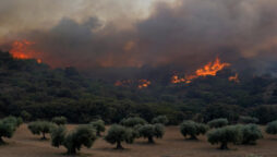 شدید گرمی کے باعث یورپ کے کئی ممالک کے جنگلات میں آگ بھڑک اٹھی