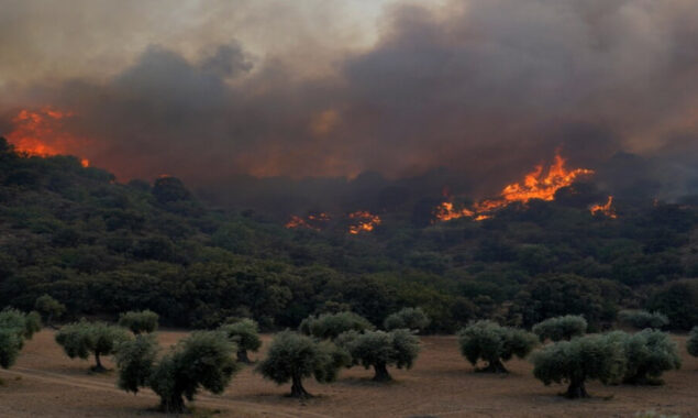 شدید گرمی کے باعث یورپ کے کئی ممالک کے جنگلات میں آگ بھڑک اٹھی